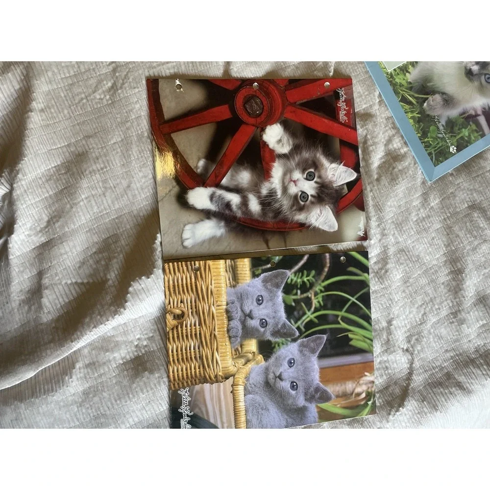 Vintage Y2K Class Act Keith Kimberlin School Binder & 6 Kitten Folders Retro